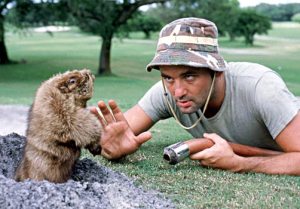 caddyshack