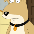 VinnyGriffin