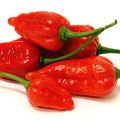 ghostpepper