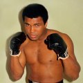 Ali
