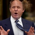 donaldtrumpbald