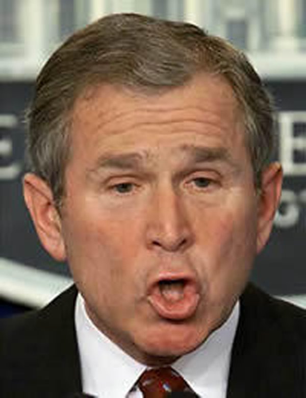 BushBumbFace