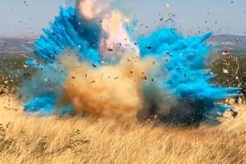 California Wildfire Gender Reveal