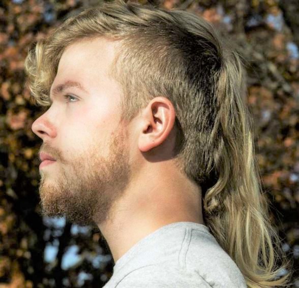 Mullets